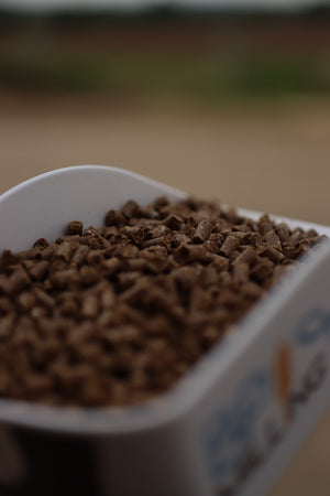 Standard Supplement Pellet - Low protein food source