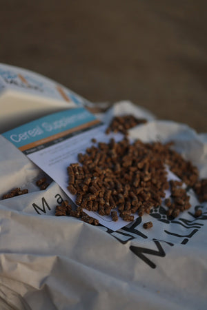 Standard Supplement Pellet - Low protein food source