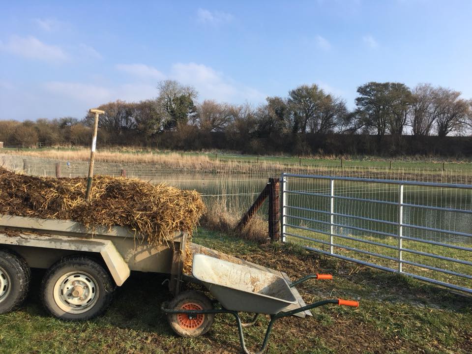 Maximise the availability of free nutrition, the key to growing fish on supplementary feeds.