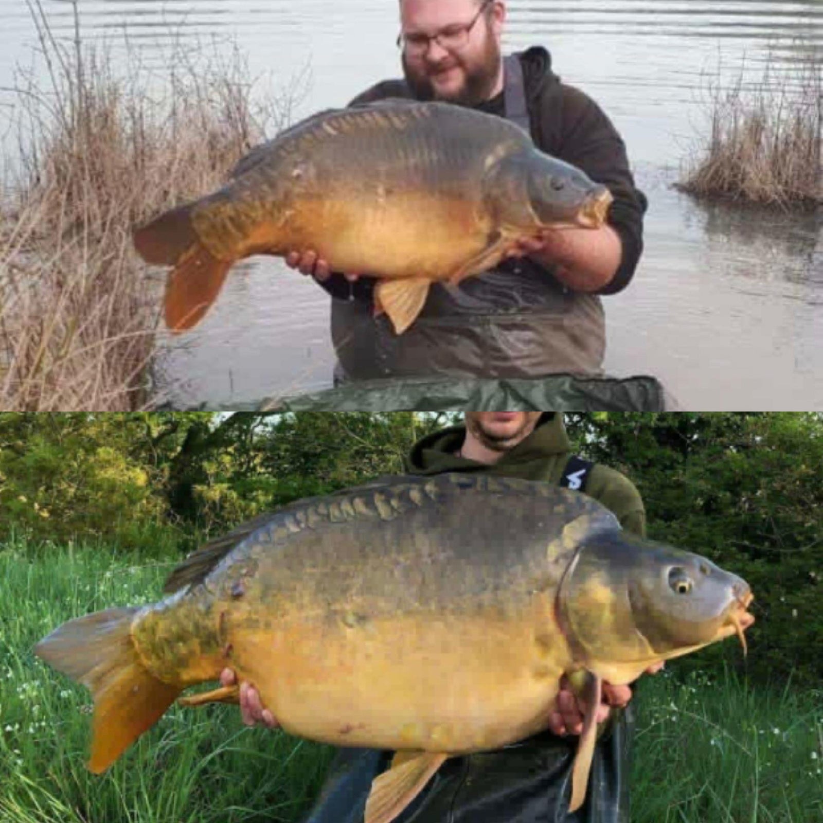 Lac Du Coron gains with BP GOLD