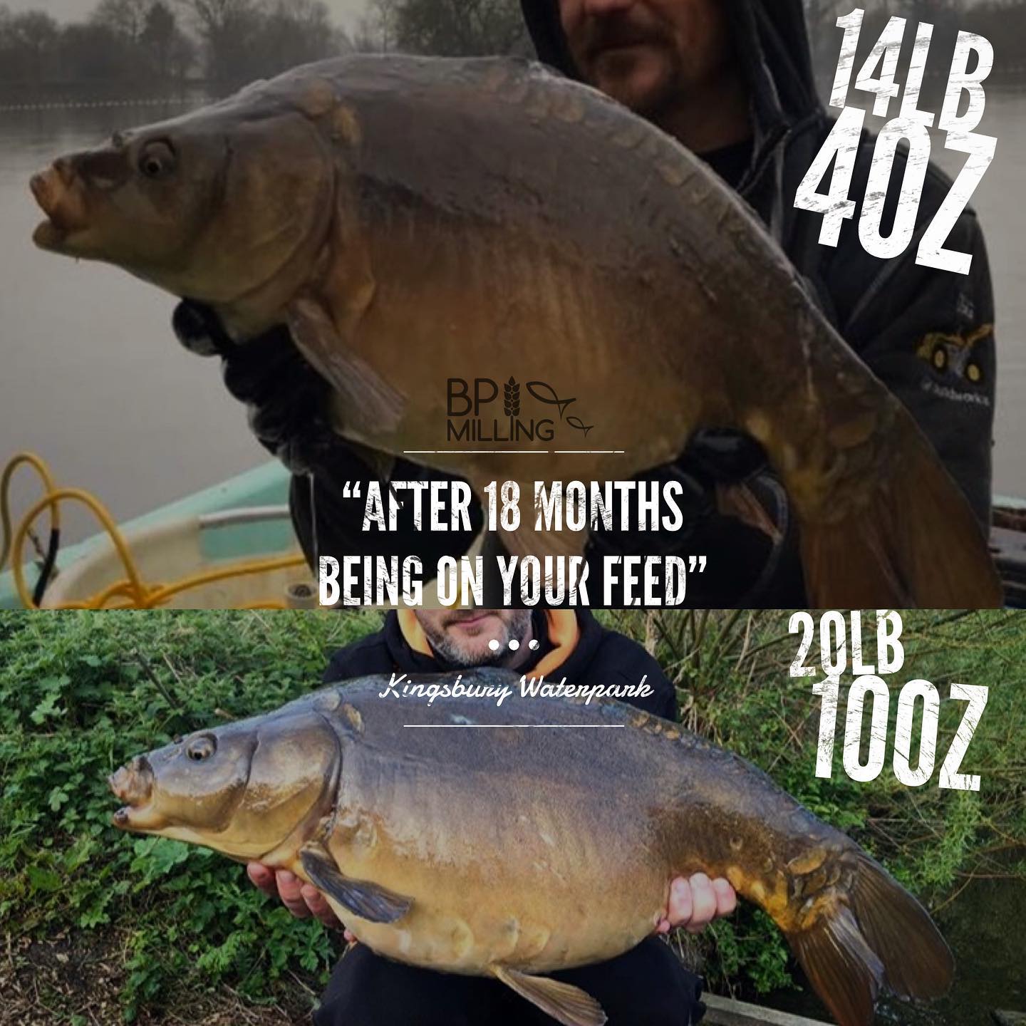 Kingsbury Waterpark growth reports