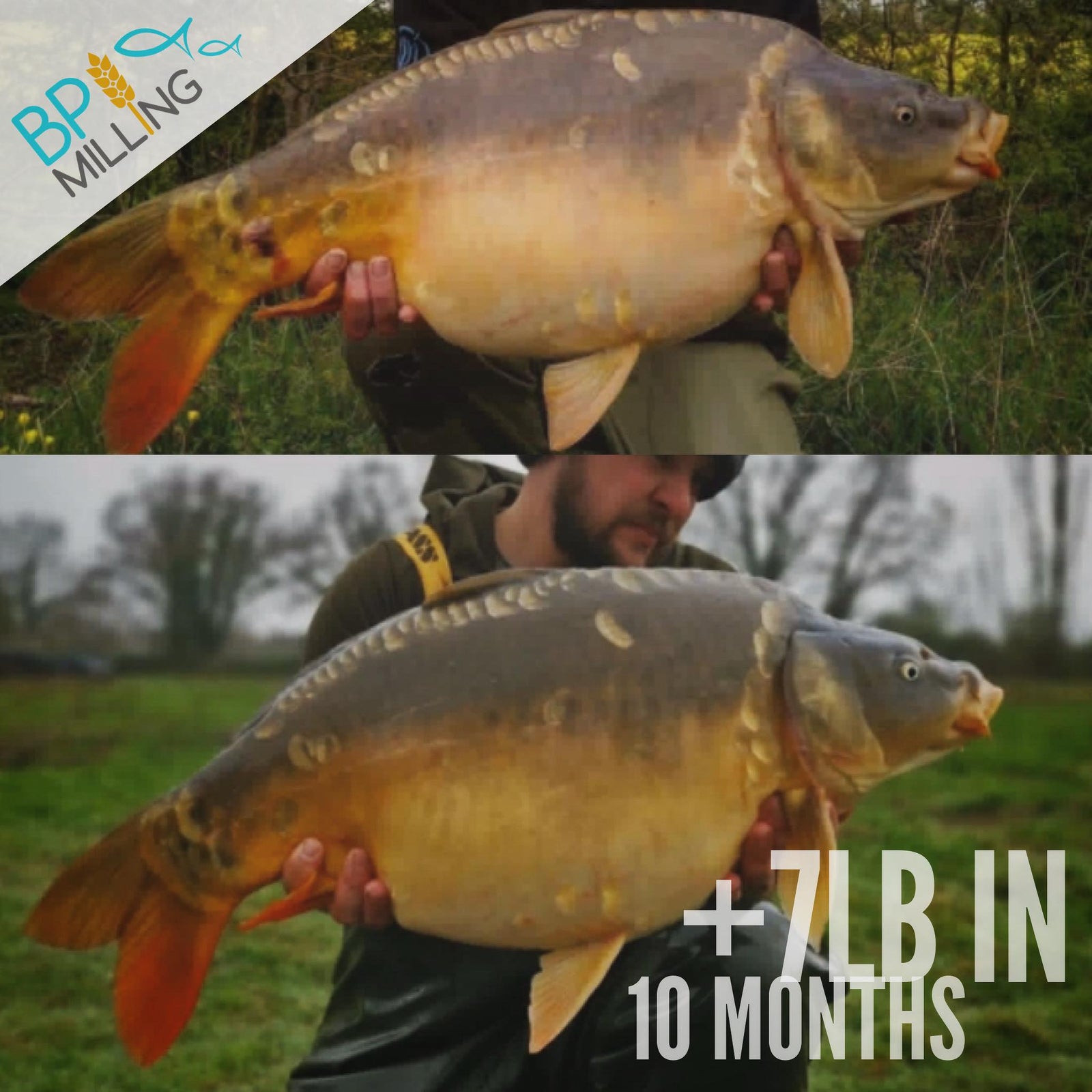 Latest Video - How do we get such good growth without using fishmeal