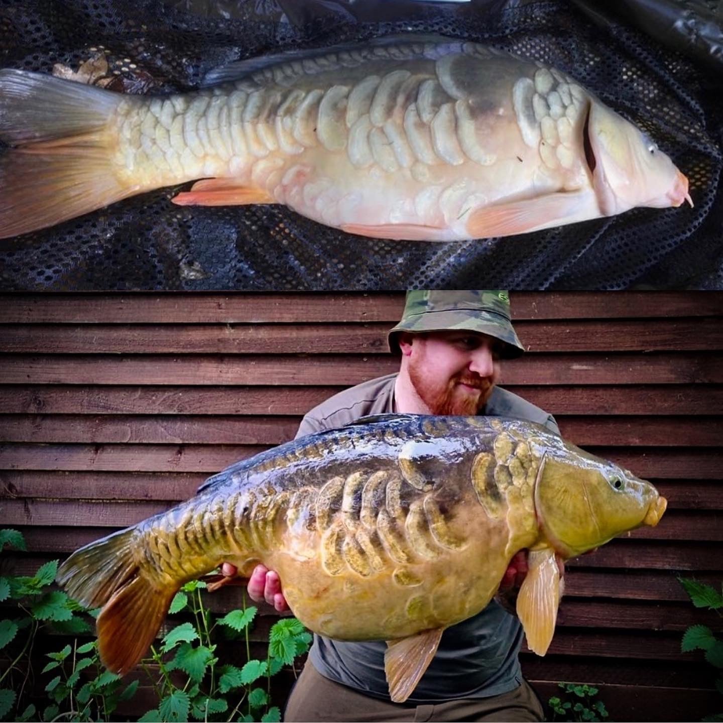 "The best feed in the game"