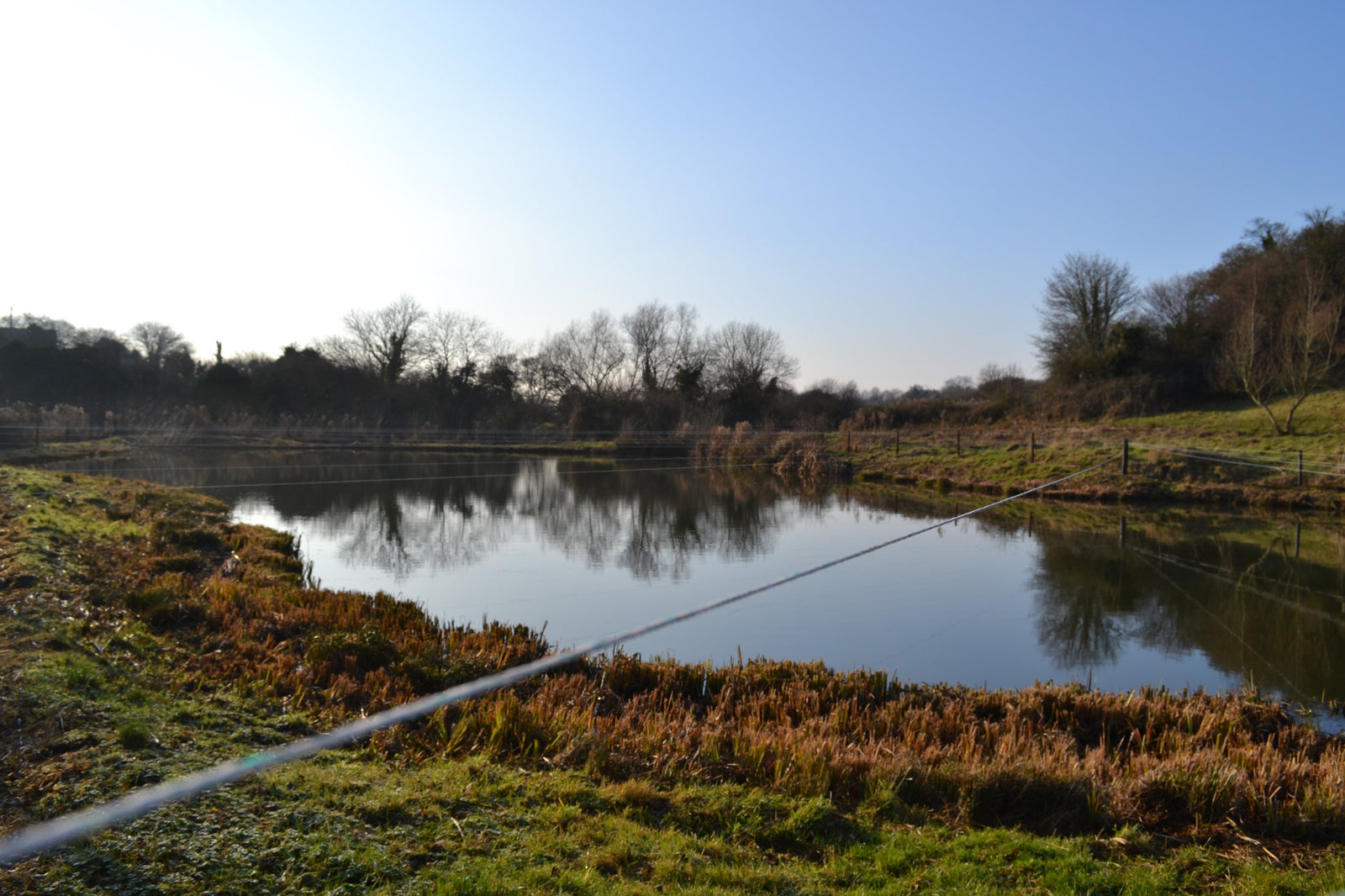 Getting the best from a stock pond