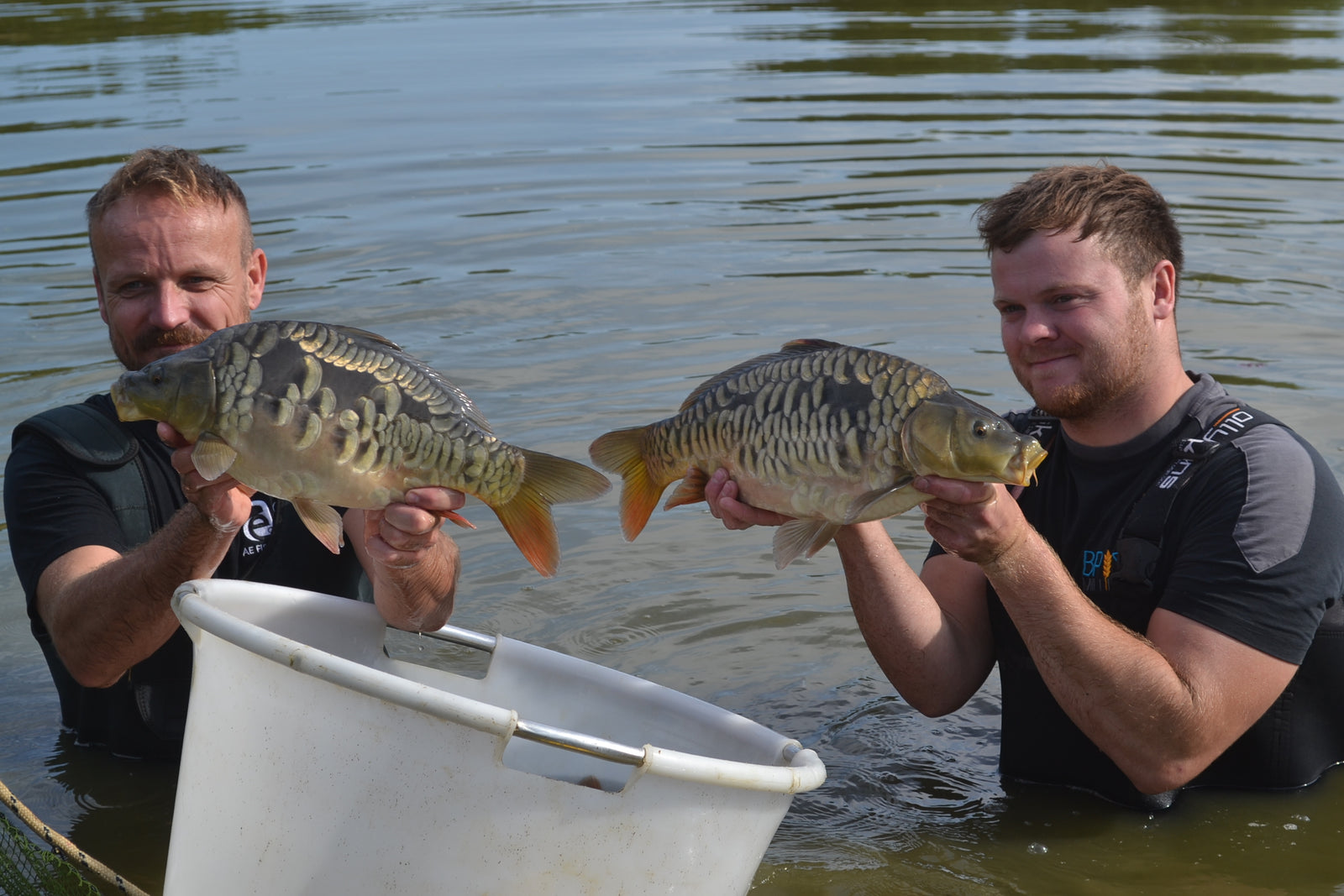Sample netting the stock ponds
