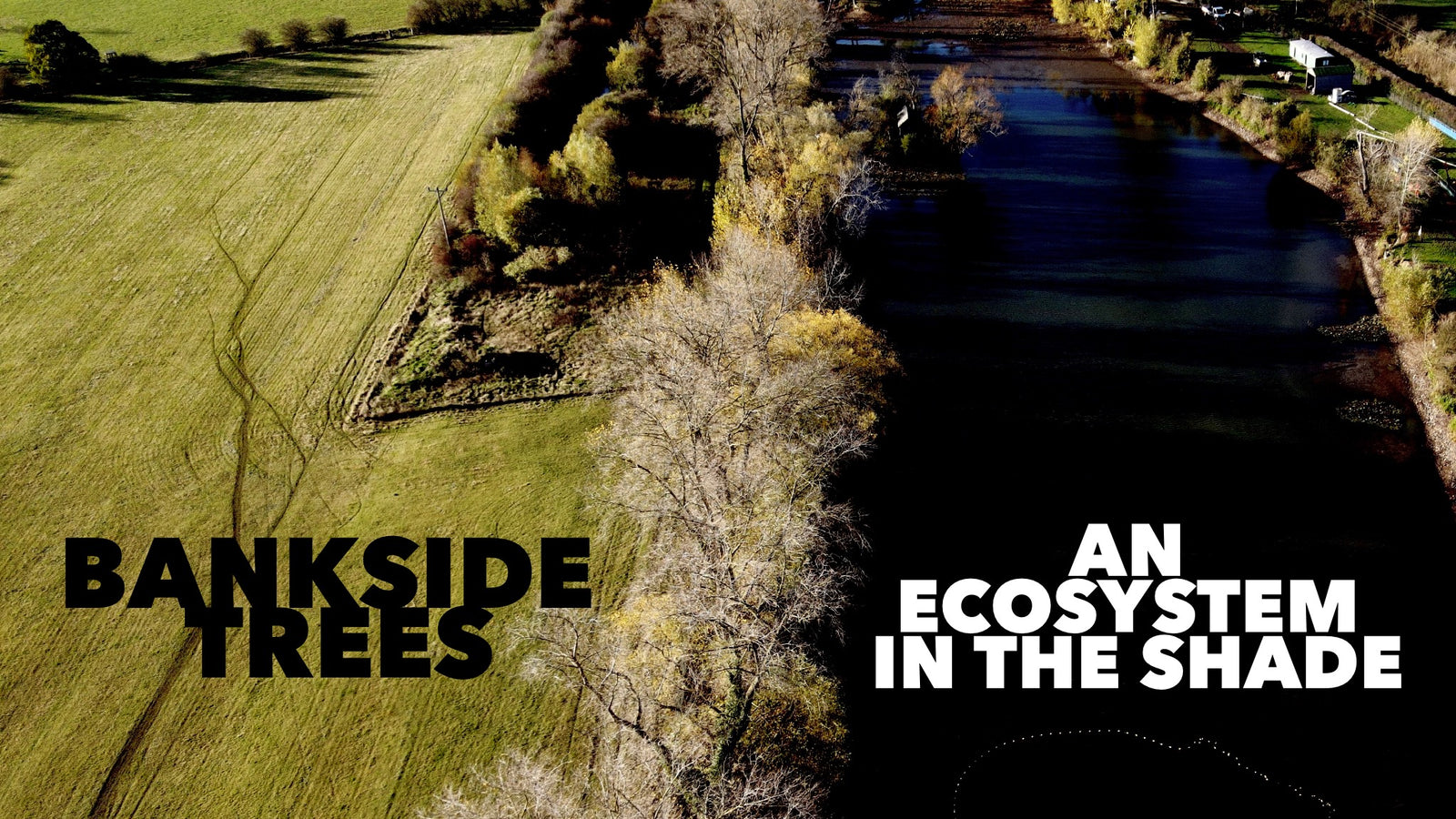 The power of sunlight and hinderance of trees