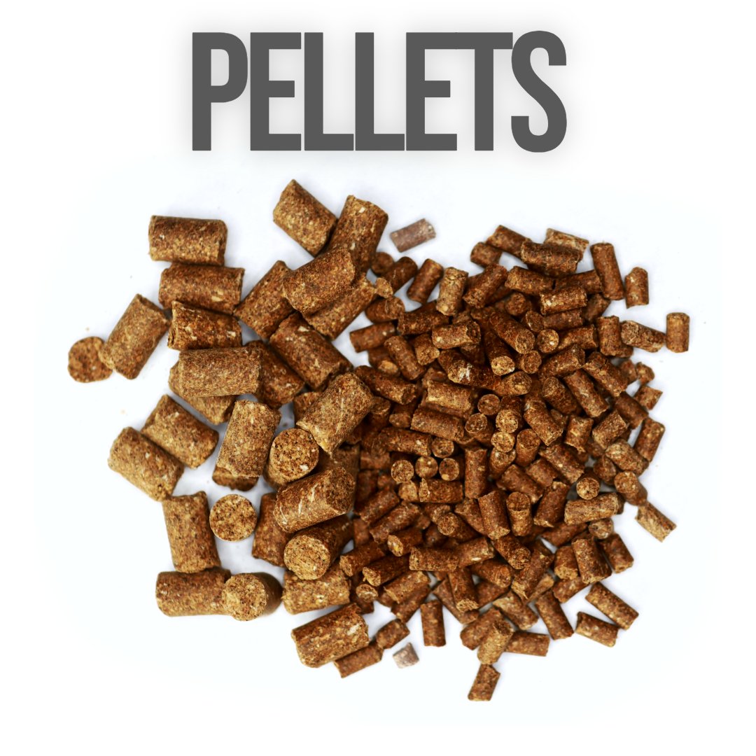 Bulk fish feed pellets