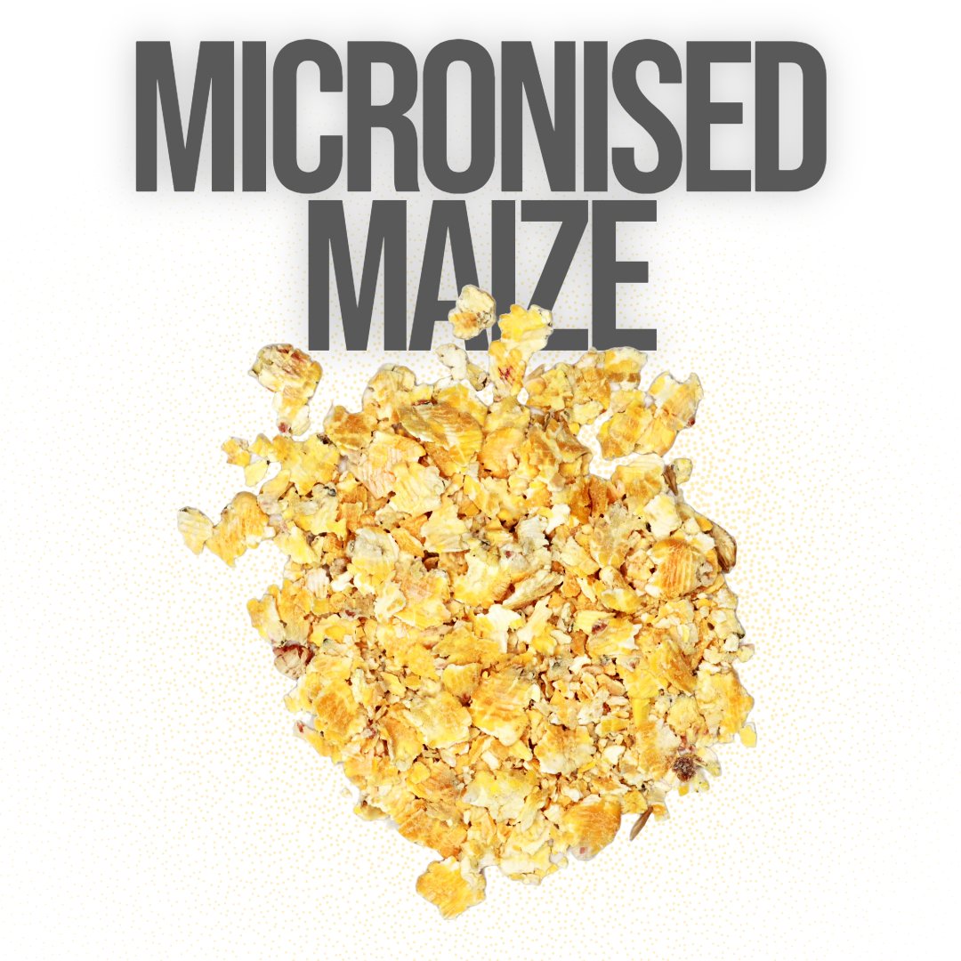 Micronised Cereals