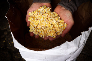 Micronized Maize